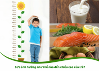 Các Loại Thực Phẩm Tăng Chiều Cao Cho Bé