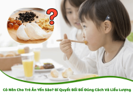 Có Nên Cho Trẻ Ăn Yến Sào? Bí Quyết Bồi Bổ Đúng Cách Và Liều Lượng