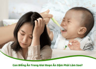 Con Biếng Ăn Trong Giai Đoạn Ăn Dặm Phải Làm Sao?