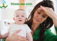 Stress có ảnh hưởng đến sữa mẹ không?