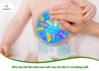 Sữa cho hệ tiêu hóa non nớt của trẻ nhỏ 6–12 tháng tuổi