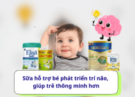 Sữa hỗ trợ bé phát triển trí não, giúp trẻ thông minh hơn