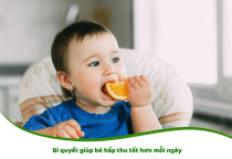 Bí quyết giúp bé hấp thu tốt hơn mỗi ngày