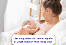 Cẩm Nang Chăm Sóc Con Cho Mẹ Bỉm- Bí Quyết Nuôi Con Khỏe Thông Minh Cẩm Nang Chăm Sóc Con Cho Mẹ Bỉm- Bí Quyết Nuôi Con Khỏe Thông Minh