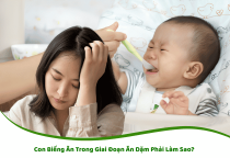 Con Biếng Ăn Trong Giai Đoạn Ăn Dặm Phải Làm Sao?
