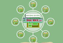 Tất tần tật những điều cần biết về nhượng quyền thương hiệu DHAMAX Tất tần tật những điều cần biết về nhượng quyền thương hiệu DHAMAX