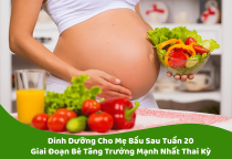 Dinh Dưỡng Cho Mẹ Bầu Sau Tuần 20 – Giai Đoạn Bé Tăng Trưởng Mạnh Nhất Thai Kỳ