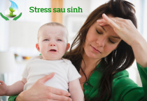 Stress có ảnh hưởng đến sữa mẹ không? Stress có ảnh hưởng đến sữa mẹ không?
