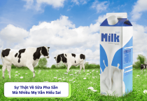 Sự Thật Về Sữa Pha Sẵn Mà Nhiều Mẹ Vẫn Hiểu Sai Sự Thật Về Sữa Pha Sẵn Mà Nhiều Mẹ Vẫn Hiểu Sai