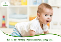 Sữa cho bé 6–12 tháng loại nào tốt? Mách mẹ chọn sữa phù hợp cho bé