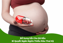 Bổ Sung Sắt Cho Bà Bầu: Bí Quyết Ngăn Ngừa Thiếu Máu Thai Kỳ