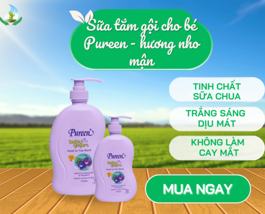 Sữa tắm gội cho bé Pureen (hương nho mận)