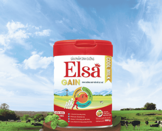 Sữa Bột Elsa Gain  