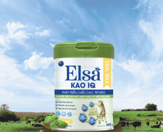 Sữa bột Elsa Kao IQ