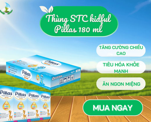 Thùng sữa bột pha sẵn pillas  180ml