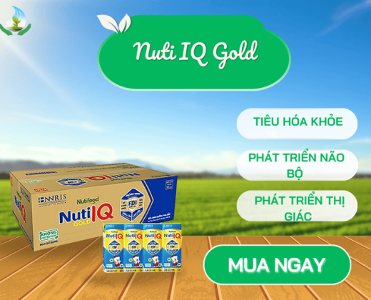 Sữa bột pha sẵn Nuti IQ Gold (180ml) - Lốc 4 hộp