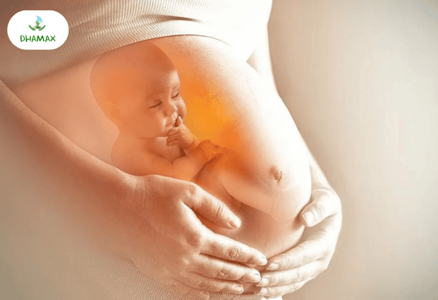  sữa cho mẹ bầu 3 tháng giữa