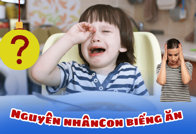 10+ thực đơn ăn dặm cho bé 2 tuổi biếng ăn