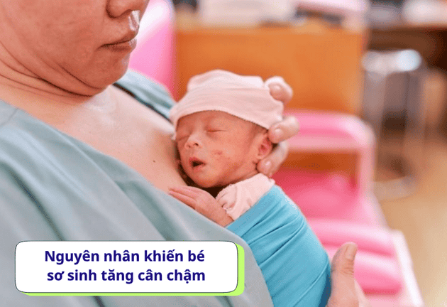 Bé sơ sinh tăng cân chậm – bổ sung sữa như thế nào