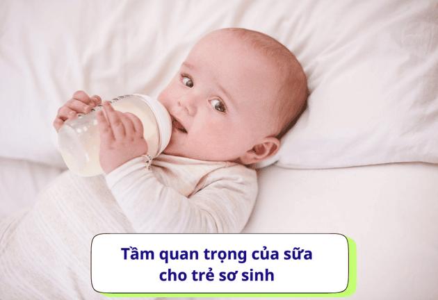 Bí quyết chọn sữa cho trẻ sơ sinh mà mẹ nào cũng cần biết