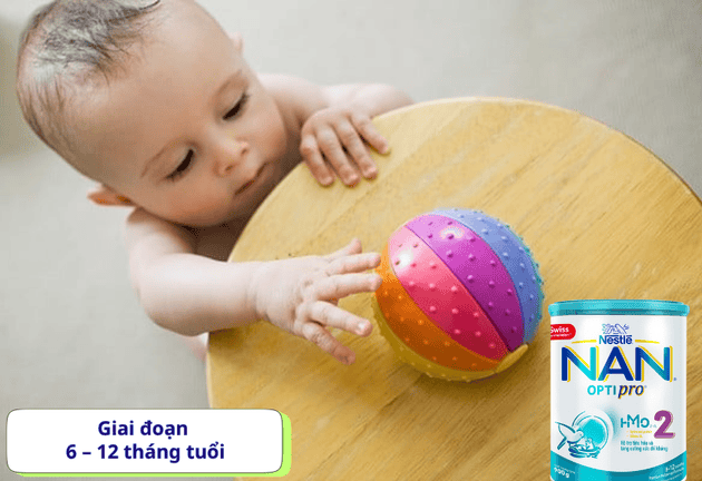 Các Tiêu Chí Chọn Sữa Cho Bé Theo Từng Giai Đoạn Phát Triển
