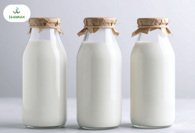 Cách bảo quản sữa 