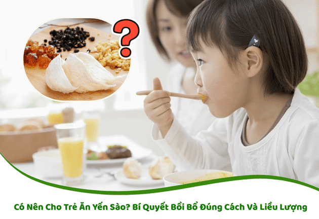 Có Nên Cho Trẻ Ăn Yến Sào