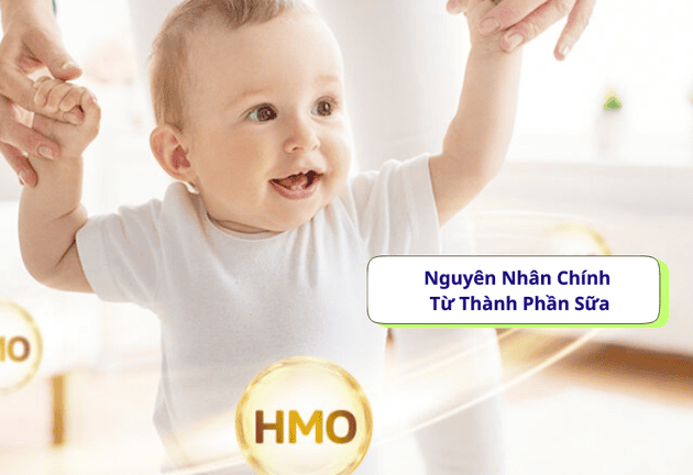 Cẩn Thận! Bé Dễ Táo Bón Nếu Sữa Không Có HMO & Chất Xơ Hoà Tan