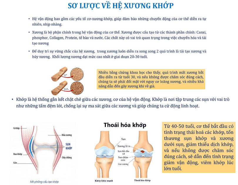 Sơ lược về hệ xương khớp