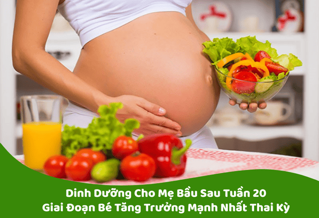 Dinh Dưỡng Cho Mẹ Bầu Sau Tuần 20