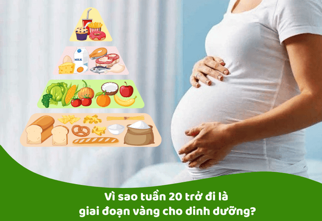 Dinh Dưỡng Cho Mẹ Bầu Sau Tuần 20