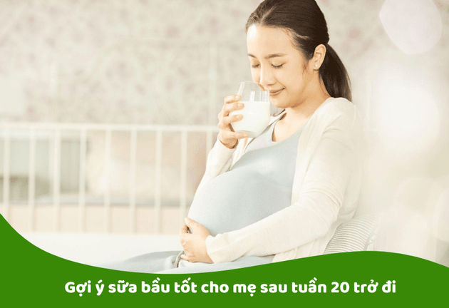 Dinh Dưỡng Cho Mẹ Bầu Sau Tuần 20