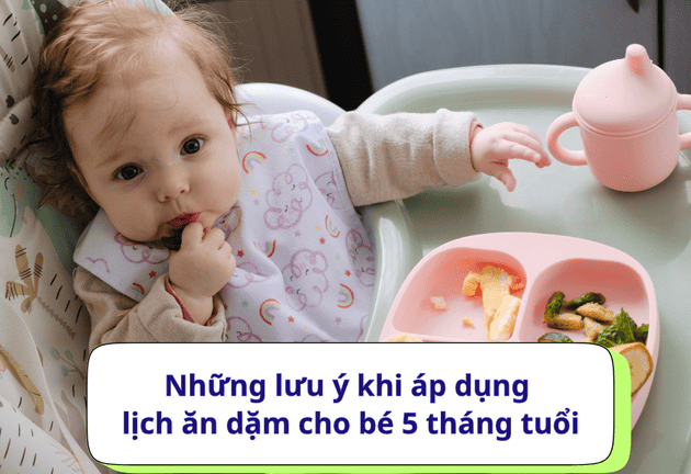 Lịch ăn dặm cho bé 5 tháng tuổi với thực đơn đầy đủ dinh dưỡng