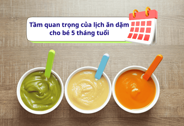 Lịch ăn dặm cho bé 5 tháng tuổi với thực đơn đầy đủ dinh dưỡng