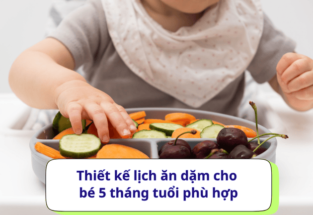 Lịch ăn dặm cho bé 5 tháng tuổi với thực đơn đầy đủ dinh dưỡng