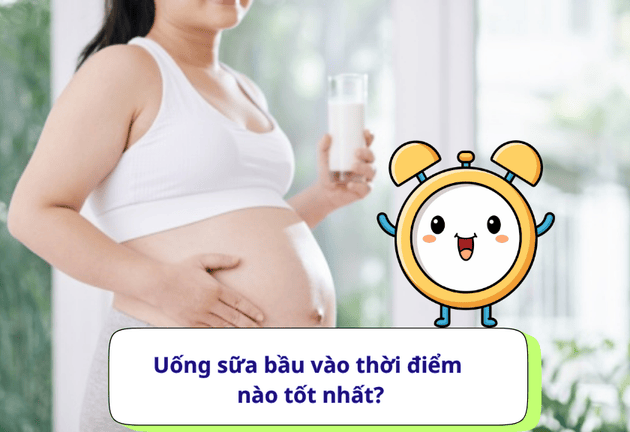 Mẹ bầu 3 tháng đầu nên uống sữa gì để thai khỏe mạnh
