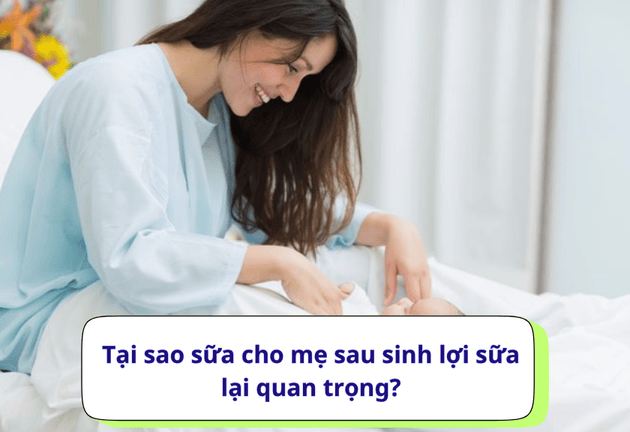 Mẹ sau sinh nên chọn loại sữa nào để lợi sữa, phục hồi sức khỏe
