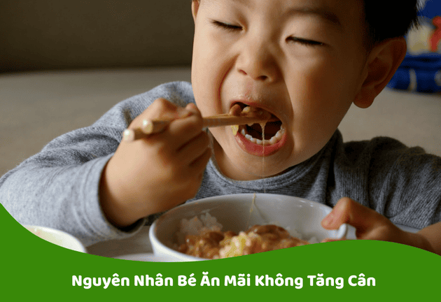 Nguyên Nhân Bé Ăn Mãi Không Tăng Cân