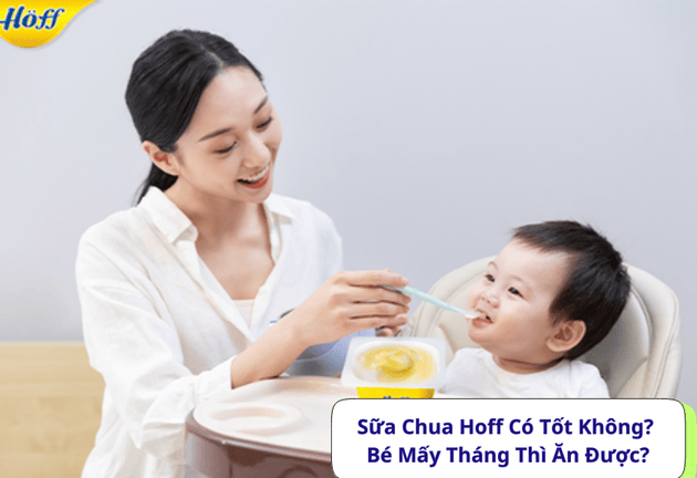 Sữa Chua Hoff Có Tốt Không Bé Mấy Tháng Thì Ăn Được