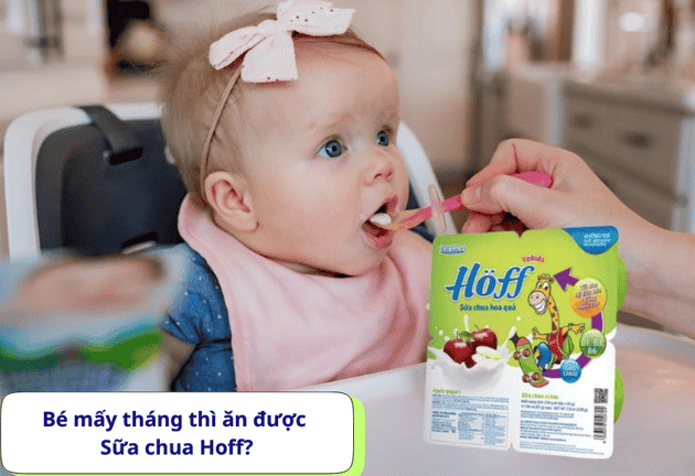 Sữa Chua Hoff Có Tốt Không Bé Mấy Tháng Thì Ăn Được