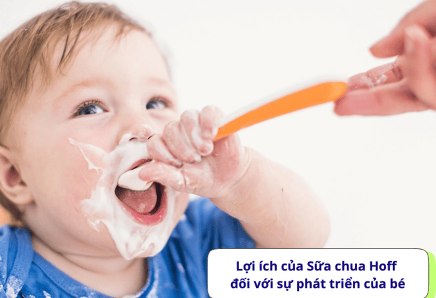 Sữa Chua Hoff Có Tốt Không Bé Mấy Tháng Thì Ăn Được