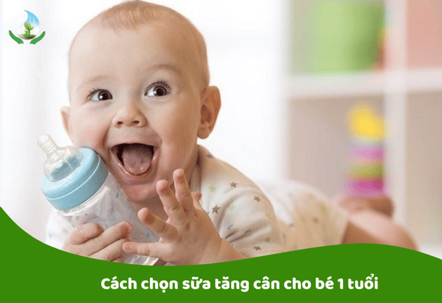 Sữa Tăng Cân Cho Bé 1 Tuổi 