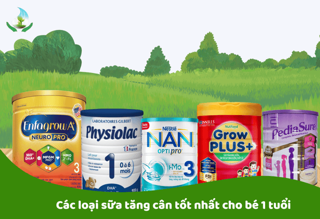 Sữa Tăng Cân Cho Bé 1 Tuổi 