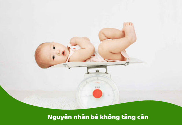 Sữa Tăng Cân Cho Bé 1 Tuổi 