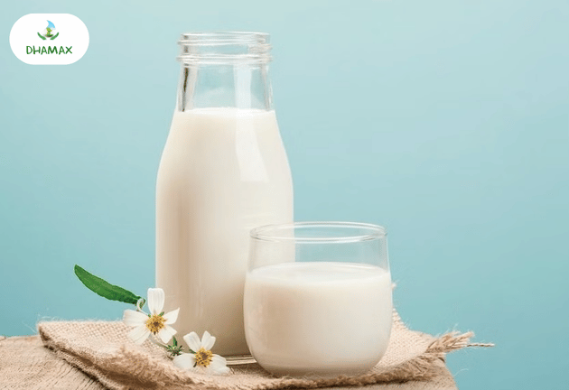 Sữa bột và sữa pha sẵn