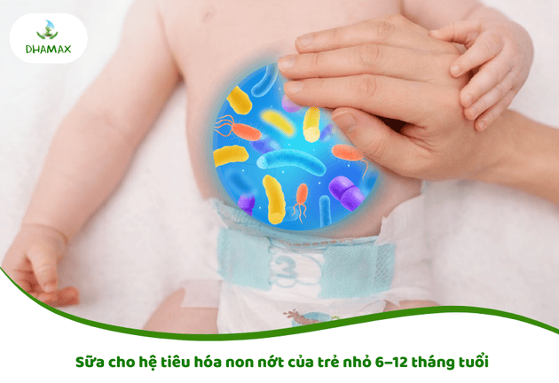 Sữa cho hệ tiêu hóa non nớt 