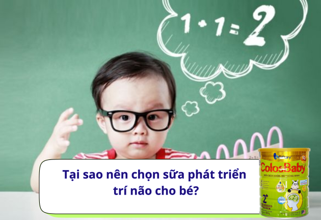 Sữa hỗ trợ bé phát triển trí não, giúp trẻ thông minh hơn