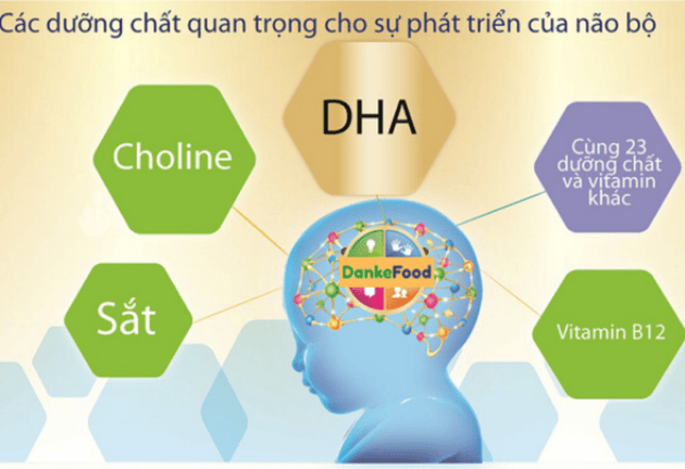 Sữa phát triển trí não 