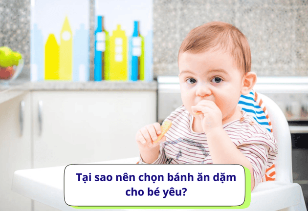 Top 3 bánh ăn dặm thơm ngon, giàu dinh dưỡng cho bé yêu