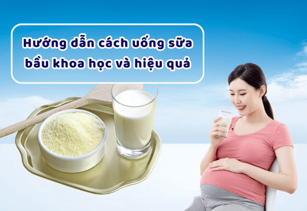  Top 3 loại sữa bầu dễ uống, không gây táo bón